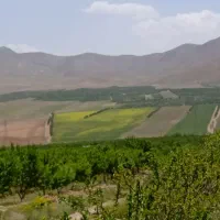 خدمات کشاورزی