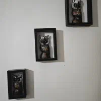 3 عدد قاب چوبی جغد.بسیار ناب و کلکسیونی