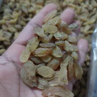 تخمه وکشمش ومغز پسته