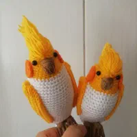 عروس هلندی