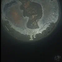 سکه نقره خارجی