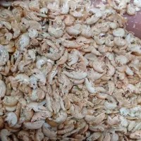 غذای ماهی گاماروس