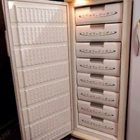 فریزر ارج