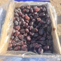 خرما مضافتی