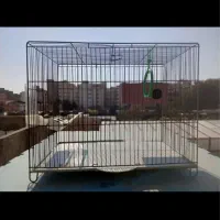 قفس پرنده عروس هلندی و مرغ عشق ۳عدد|لوازم جانبی حیوانات|ماهدشت, |دیوار