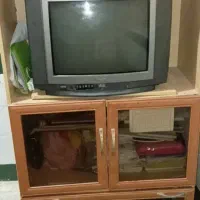 تلوزیون