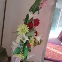 گل خاستگاری