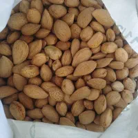 بادام تازه