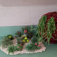 کاکتوسهای خمیری زیبا