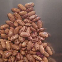 نخود لوبیا عدس سویا برنج چیتی ازبک عمده خورده|خوردنی و آشامیدنی|شیراز, شیشهگری|دیوار