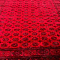 فرش لاکی ترکمن۴و۶و۹و۱۲|فرش|ایلام, |دیوار