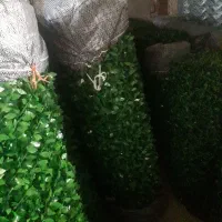 فنس چمنی و فنس برگ ریحون|مصالح و تجهیزات ساختمان|رشت, معلولین|دیوار