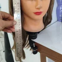 سر مانکن به همراه پایه