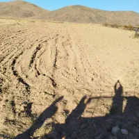 فروش زمین کشاورزی|فروش دفتر صنعتی، کشاورزی، تجاری|ماکو, |دیوار