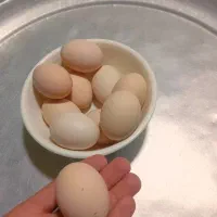 تخم مرغ محلی