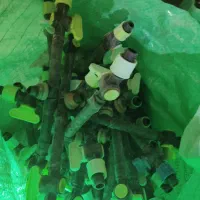 لوازم کشاورزی و آبیاری|خدمات باغبانی و درختکاری|زنجان, |دیوار