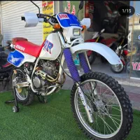 XLR250