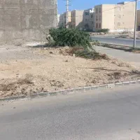 فروش-زمین