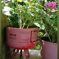 تعددی کپسول خالی کلر گازی فقط ۱۰۰ تومن|کولر گازی و فن‌کوئل|کرمان, |دیوار