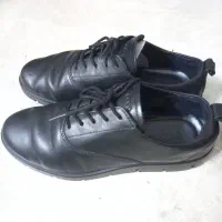 کفش چرم اکو