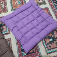 نشیمنی