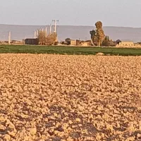 زمین کشاورزی  مناسب سرمایه گذاری برق و گاز داره|فروش دفتر صنعتی، کشاورزی، تجاری|گرمسار, |دیوار