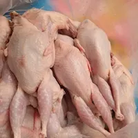 بلدرچین(تخ‌م نطفه دار،خوراکی) بالغ تخمگذار|حیوانات مزرعه|رشت, حمیدیان|دیوار