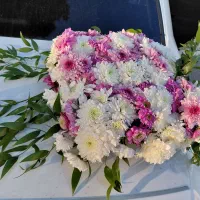 گل آماده|گل و گیاه طبیعی|ری, علایین|دیوار