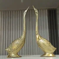 قو عاشق