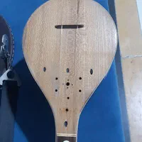 سه تار (حرفه ای)|سازهای سنتی|شیراز, باغ تخت|دیوار