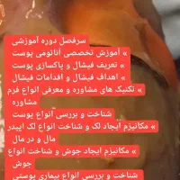 آموزش تمامی لاین های زیبایی بامدرک معتبر|خدمات آرایشگری و زیبایی|نظرآباد, شهرک سید جمال الدین|دیوار