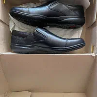 کفش پاما، نو همراه جعبه