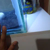 اکواریوم|ماهی|رفسنجان, |دیوار