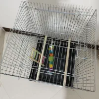 قفس پرنده|لوازم جانبی حیوانات|پاکدشت, پاکدشت (مامازند)|دیوار