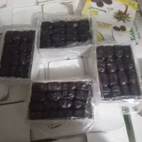 خرما مضافتی