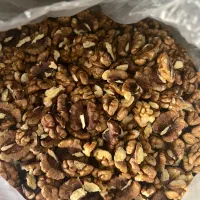 گردو چرب شهریار|خوردنی و آشامیدنی|تهران, شهرک آزادی|دیوار