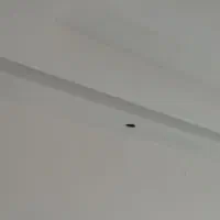 نقاشی وکنافساختمان با بهترین رنگها وقیمت مناسب|خدمات پیشه و مهارت|محمدیه-قزوین, |دیوار