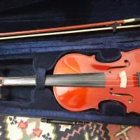 ویولون|ویولن|کرمان, |دیوار