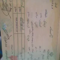 شناسنامه گم شده