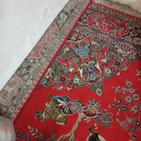 فرش دوازده متری|فرش|اهواز, زیتون کارگری|دیوار