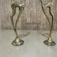 خانه و اشپزخانه