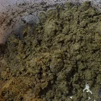 قرمه سبزی سرخ شده|خوردنی و آشامیدنی|پاکدشت, کبودگنبد|دیوار