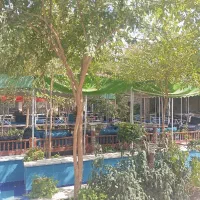 نیرو کار