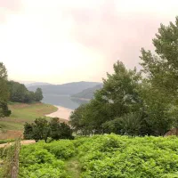 استخدام نیروی ساده آقا