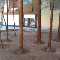 مغازه ۲۰متری اصفهان ملکشهر خیابان نقش جهان|اجارهٔ مغازه و غرفه|اصفهان, ملکشهر|دیوار