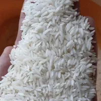 برنج هاشمی اصیل