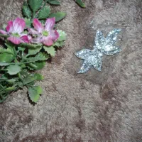 بدلیجات سنجاق سینه|بدلیجات|قزوین, |دیوار