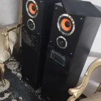 اسپیکر دوقلو