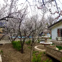 باغ ویلا و باغچه در ماهدشت|فروش خانه و ویلا|ماهدشت, |دیوار