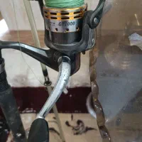 لنسر ماهیگیری